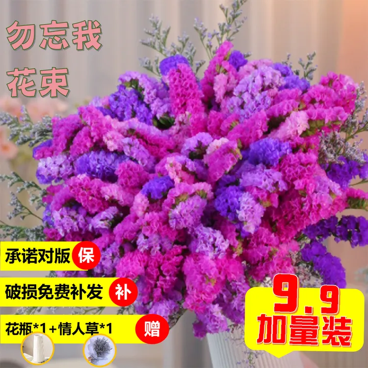 【赠花瓶】勿忘我鲜花云南昆明直发自然干花花束室内鲜花干花真花