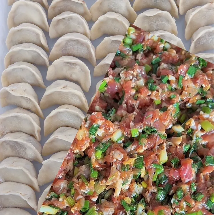 新县楠姐手工剁馅黑猪肉水饺早餐速食煎饺蒸饺十五种口味