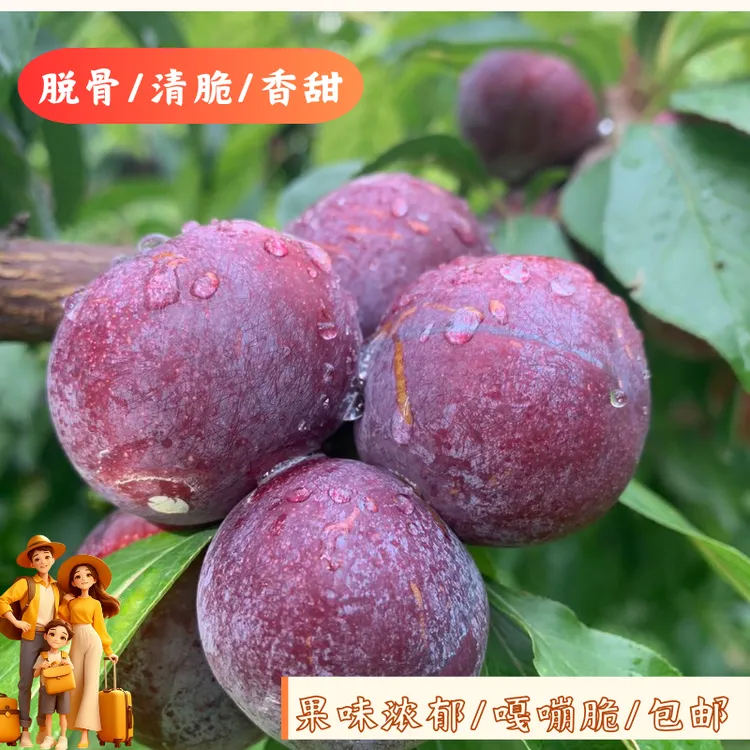 四川汶川羌寨小脆红新鲜现摘现发脱骨脆红当季水果脆甜多汁