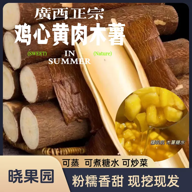 【晓果园】广西当季新鲜现挖黄肉黄心木薯粉糯清香适合做糖水粗粮