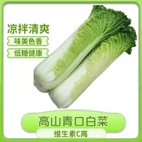 （顺丰包邮）贵州高山 青口白 农家自种 白菜 现摘现发  农家菜