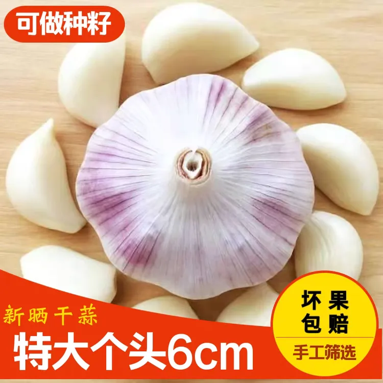 大蒜头干蒜5斤又便宜又好的大蒜头紫皮蒜农家自种产地直发蒜种子