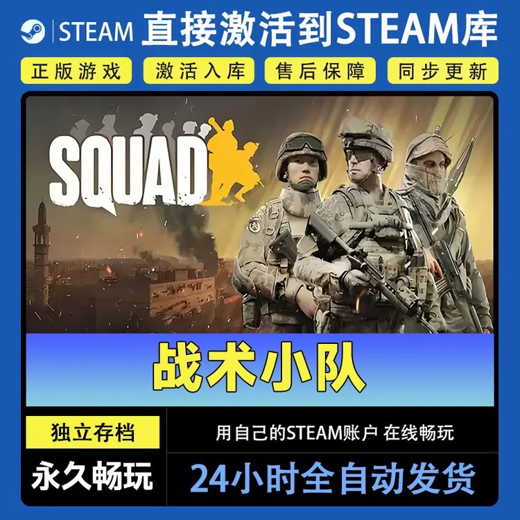 【steam游戏】战术小队激活码CDKey在线电脑游戏dlc全球入库