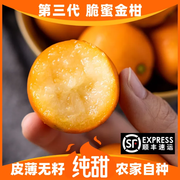 第三代正宗融安脆蜜金柑广西桔纯甜不酸独立包装礼盒现摘新鲜水果