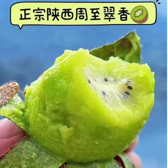 【头茬鲜果】周至翠香绿心猕猴桃新果新鲜采摘香甜多汁孕婴儿可食
