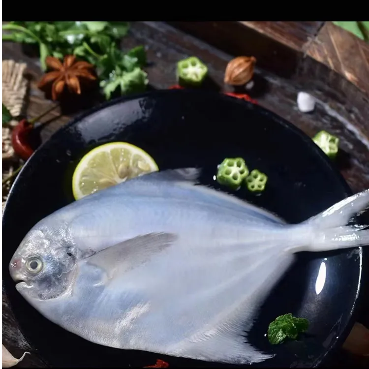 新鲜野生海捕银鲳鱼（白鲳鱼） 450-500克/包 连云港发货