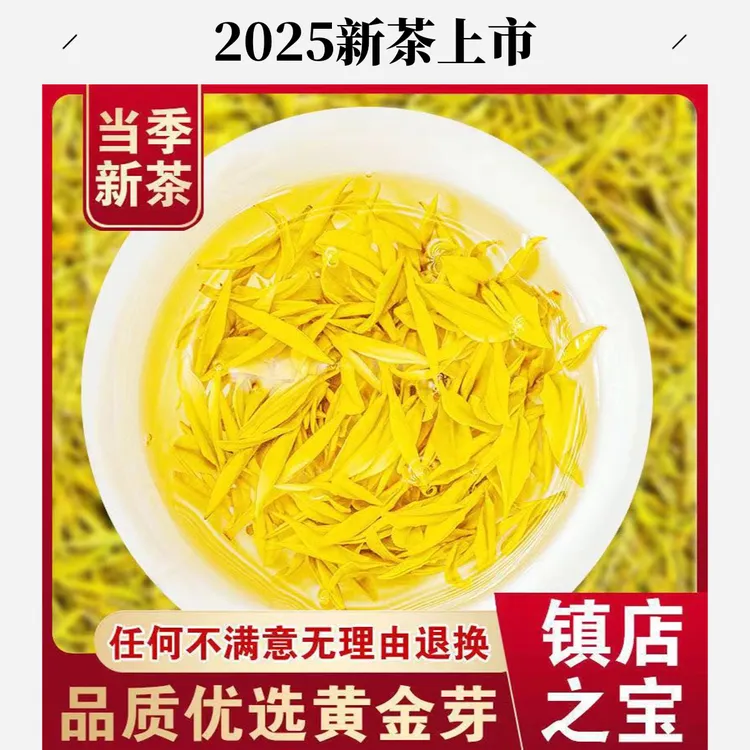 (2025年新茶黄金芽)5号高山安吉特产浓香爆款绿茶甘甜茶叶传统制