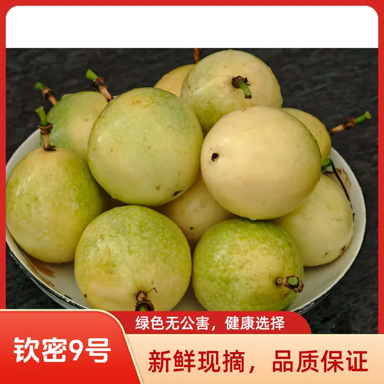 钦蜜9号百香果新鲜现摘当季水果营养丰富