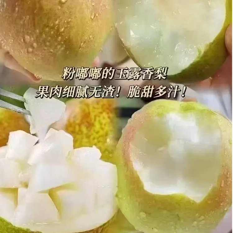 顺丰发货.隰县玉露香梨