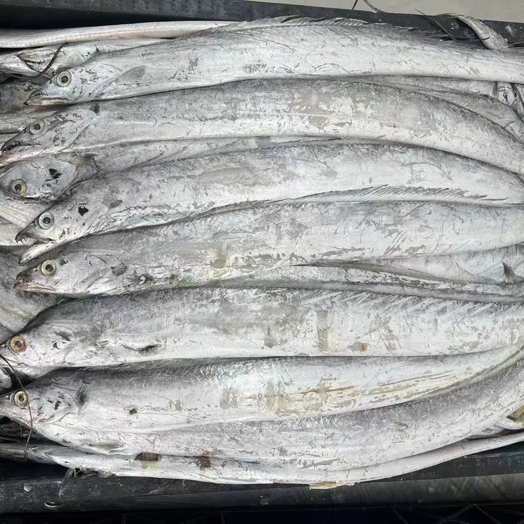 深海野生小眼油带鱼15~16条 冷冻发货 包邮【有破肚擦皮介意勿拍】