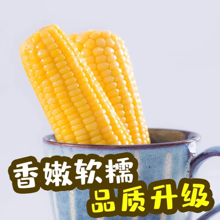 东北黄糯玉米软糯香甜低脂代餐粗粮10支（含4支试吃）独立真空包装