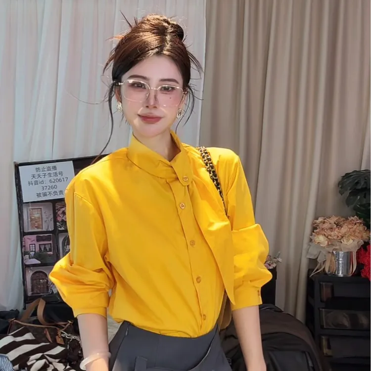 2025秋季设计感领结单排多扣领小众衬衫显瘦女装长袖简约小衫