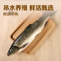 【吊水鱼】鲜活吊水草鱼 750-1000g