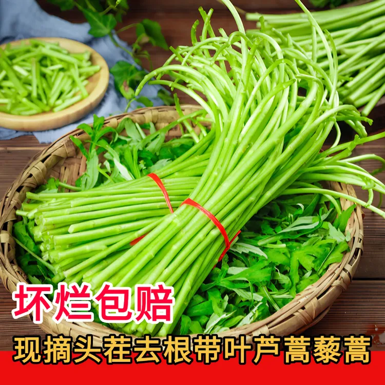 原产地现摘新鲜芦蒿藜蒿去叶去老根精品