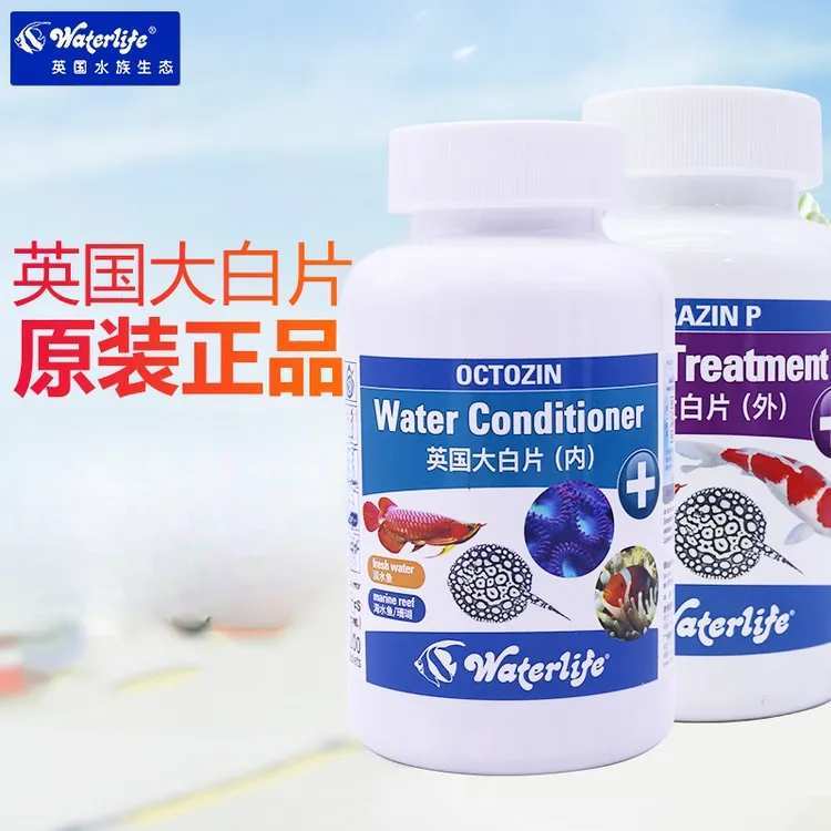 waterlife英国正品大白片金龙鱼魟锦鲤兰寿泰狮