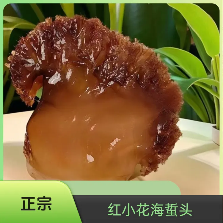 【海蜇头】红小花净重桶装嫩脆酱香提鲜包邮海产品开胃盐渍腌制新鲜