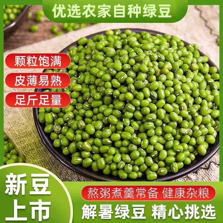 【内蒙原生态绿豆】2025年原生新鲜绿豆易烂出沙熬绿豆汤豆沙糕B