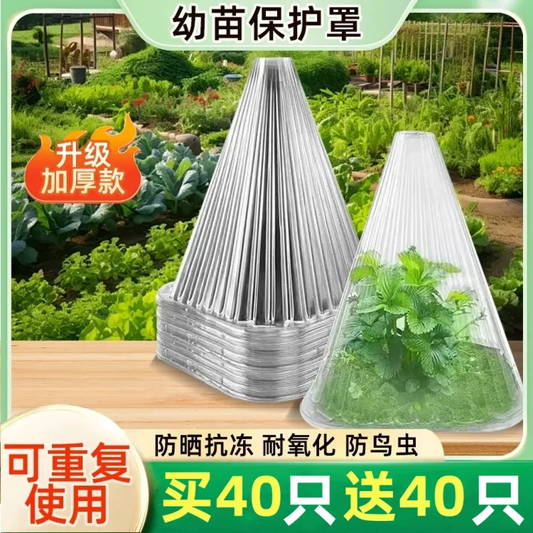 【买40只送40只】育苗保护罩PET熟料加厚幼苗保护罩防鸟防霜冻伤害