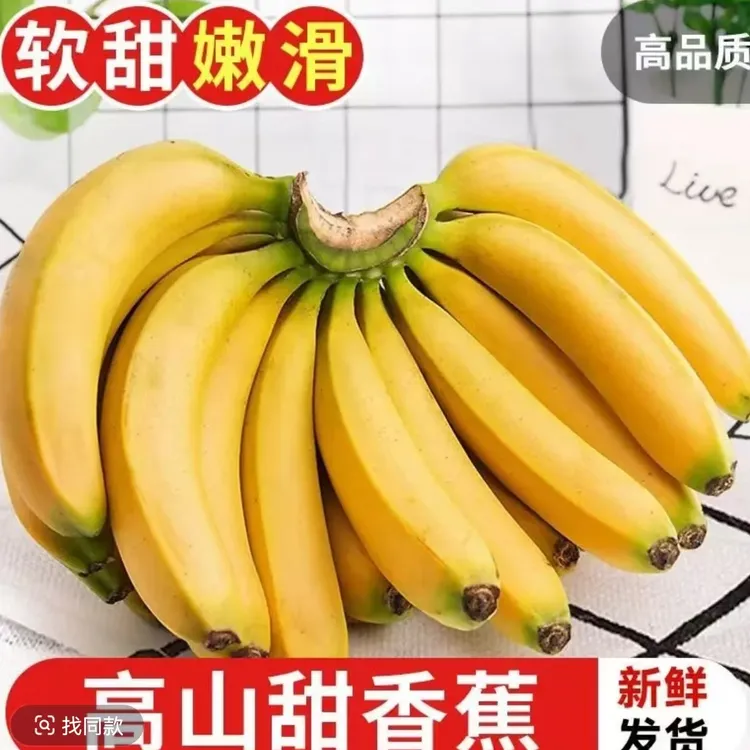 【金牌店铺】云南正宗香蕉10斤催熟高山自然当季新鲜现摘水果薄皮青