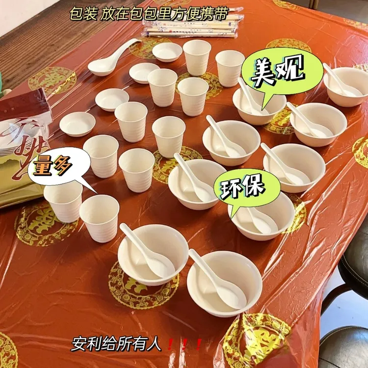 拉萨发货西藏包邮稻壳餐具一次性碗筷食品级加厚聚餐盘子套装户外