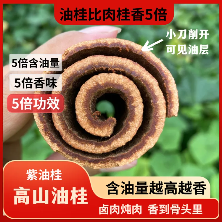 粮友惠【油桂】24年新货高山紫油桂精选无硫肉桂皮火锅食材批发
