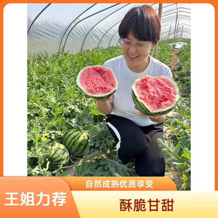 新鲜现摘正宗山西夏县2026头茬美都甜蜜蜜西瓜酥脆香甜一口爱上