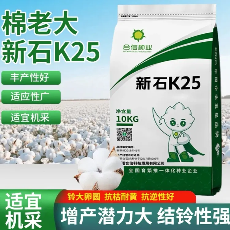 优质抗逆 合信棉老大