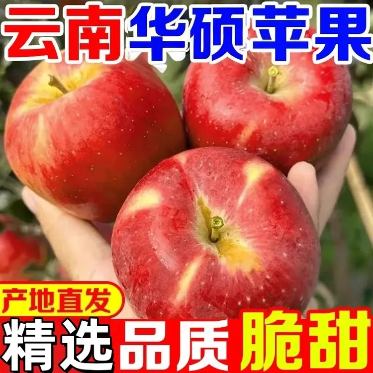 云南丑苹果华硕苹果脆甜可口深山原味脆甜多汁产地直发包邮