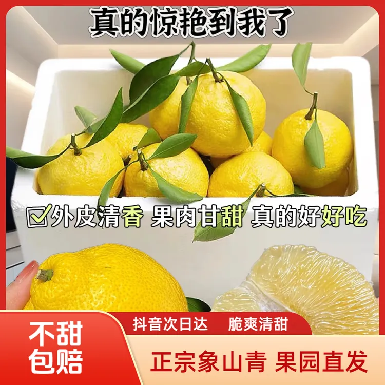 【次日达】正宗象山青柑橘头茬果象山晓塘原产地新鲜采摘