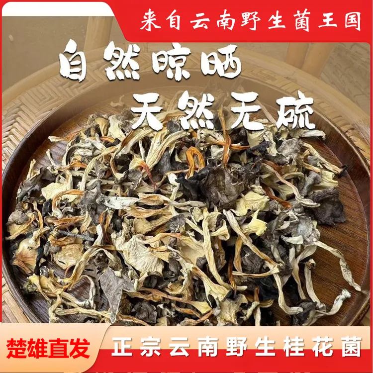 正宗云南南华野生鸡油桂花菌100g装味道浓郁煲汤爆炒味道鲜美