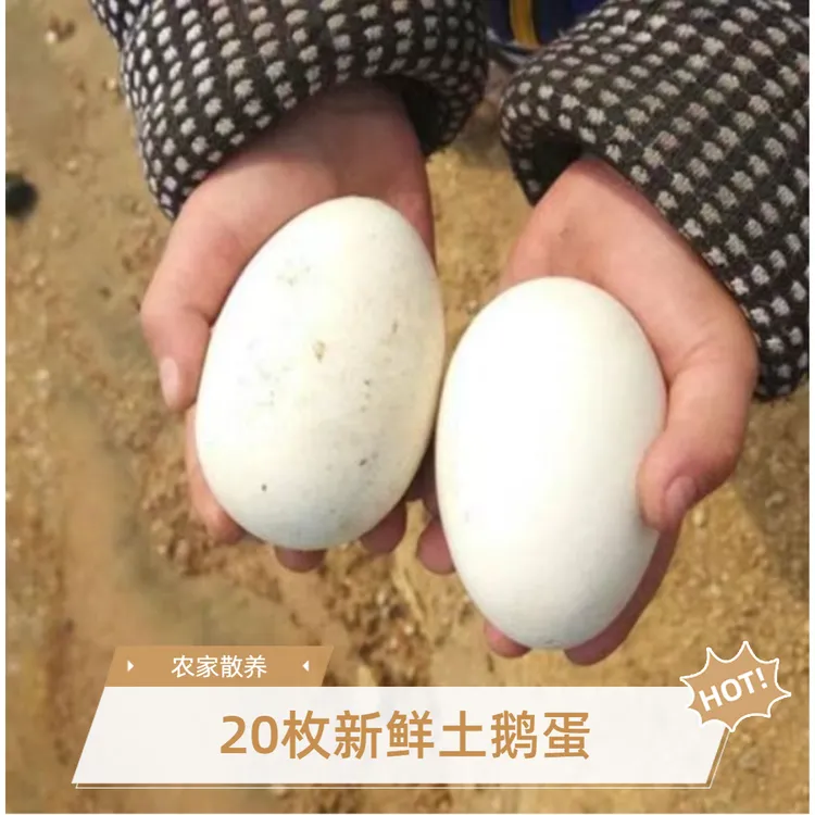 拍10枚送10枚农家土鹅蛋农家散养谷物新鲜鹅蛋破损包赔到手20个