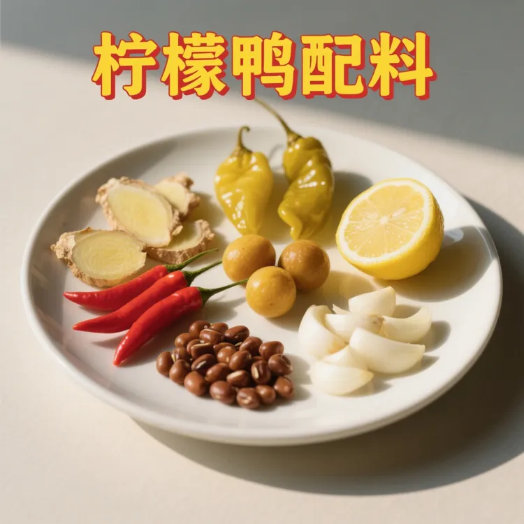广西柠檬鸭调料包柠檬酸梅酸椒酸荞头酸梅小米辣酸姜家常特色菜