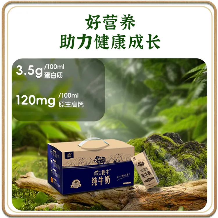 【连续订8箱】牦牛纯牛奶250ml×12支/8箱
