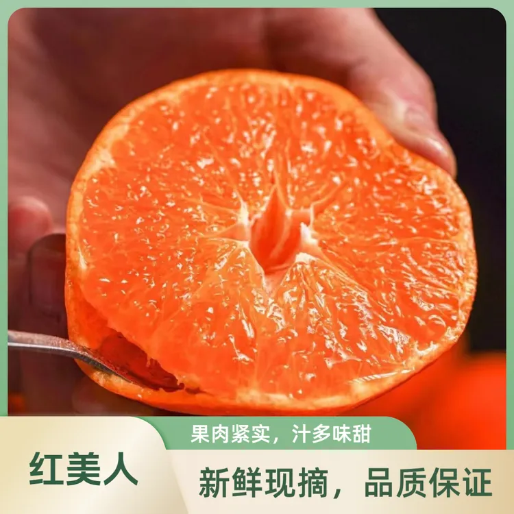 重庆巫山红美人柑橘 新鲜柑橘 薄皮无核柑橘 鲜甜多汁 产地直达