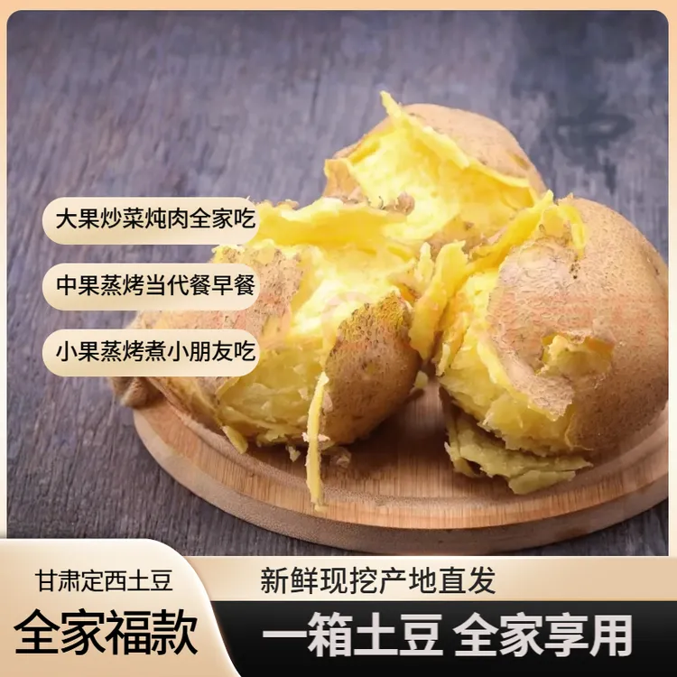 中秋团圆甘肃定西土豆沙面洋芋新鲜现挖农家土豆大中小果全家福款