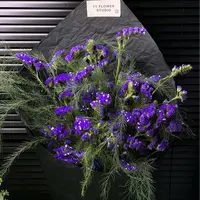 【星辰花】丨云南基地直发高品质丨鲜花 好养耐养 丨可做干花