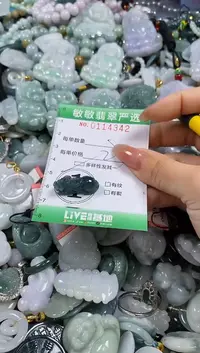 【闪购商品】翡翠颈饰未镶嵌闪购0114342多样性发其一