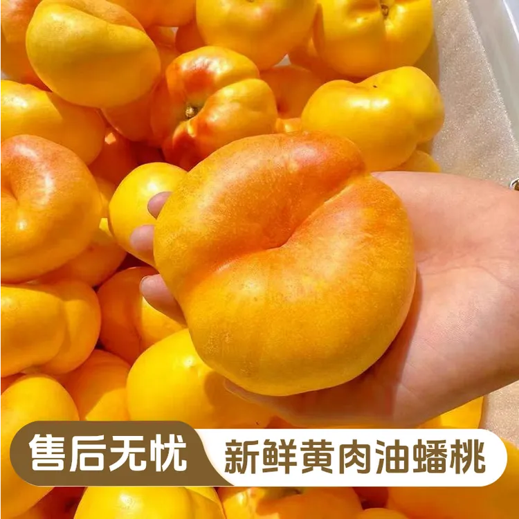 【香甜多汁】彩虹油蟠桃新鲜水果蒙阴黄桃黄金奶油蟠桃蜜桃甜脆桃子
