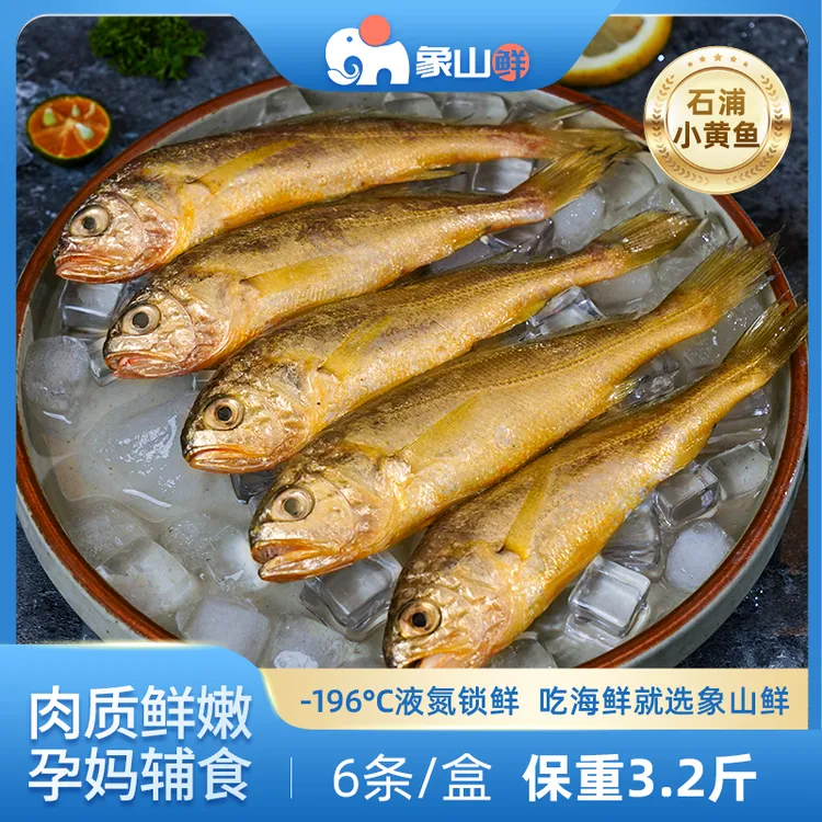 象山鲜东海原产野生小黄鱼液氮锁鲜6条/盒石浦美味海鲜水产3.2斤