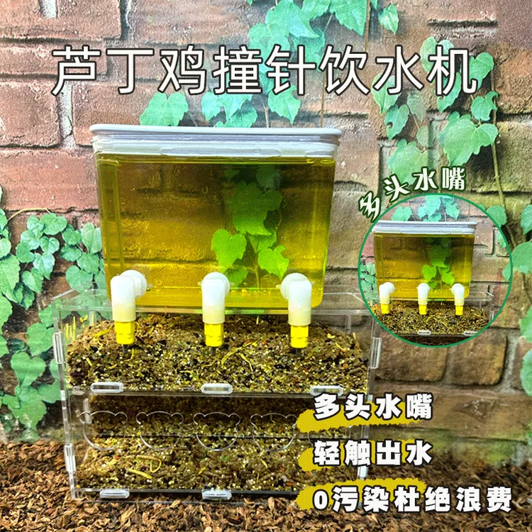 芦丁鸡镂空平台喂食喂水器网格镂空爬梯餐桌分层置物架套餐