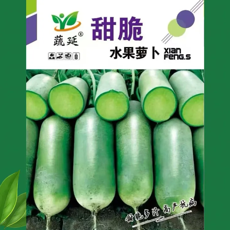 甜脆水果萝卜种子