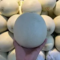 白玉茹瓜哈密瓜 2.8-3斤左右（水果）