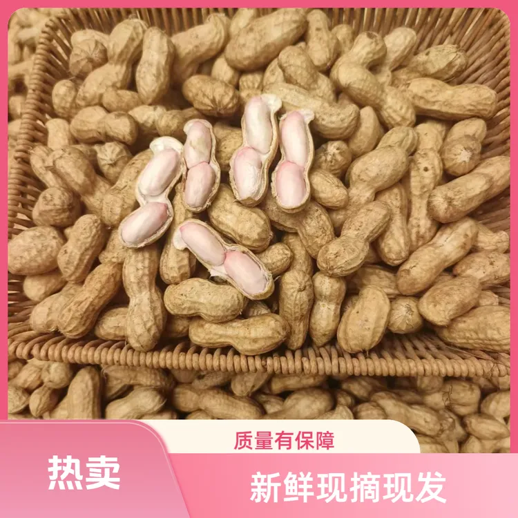  2025年新鲜粉皮农家自种鲜花生湿花生2斤3斤5斤