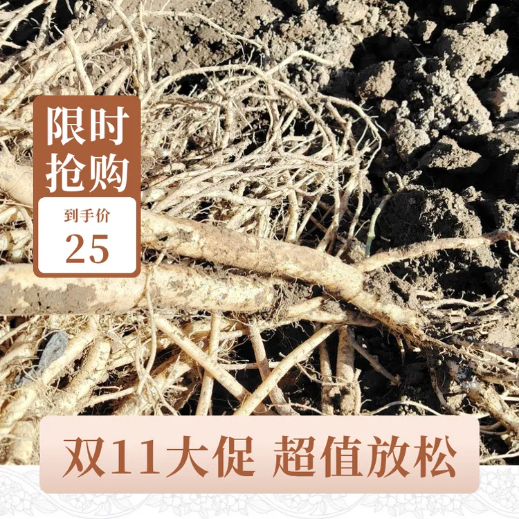 现挖现发甘肃渭源党参带泥新鲜党参煲汤食材农产品产地包邮