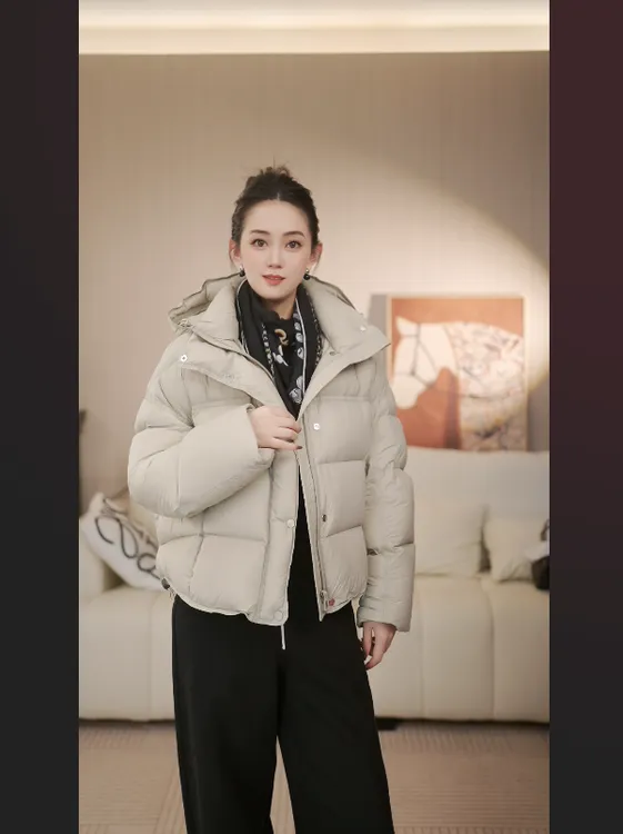 【云老板】★运补 2025年冬季百搭休闲连帽短款90鹅绒服LD211