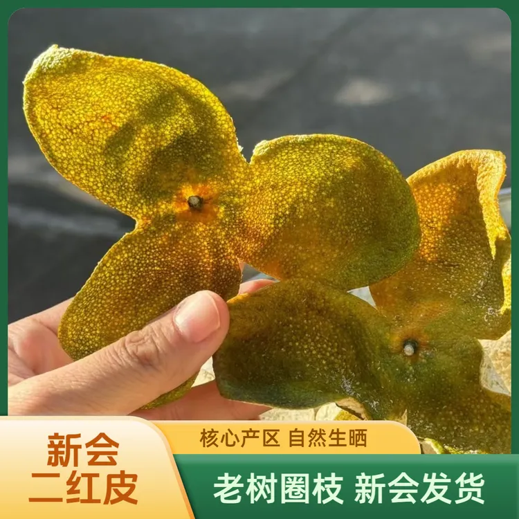 2025新会柑皮 梅江8年老树圈枝新鲜茶枝柑 二红大红皮干 自家果园
