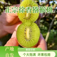 【正宗徐香】陕西秦岭徐香猕猴桃香甜多汁产地直销枚装M
