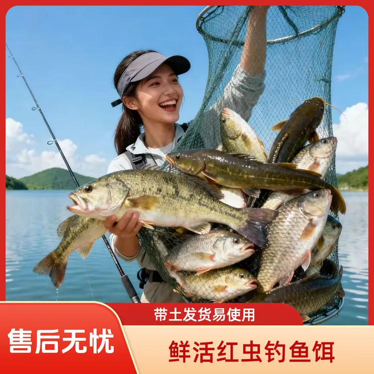 【带营养土发货】鲜活超大号红虫钓鱼拉饵挂钩饵料适用于野钓鲫鱼