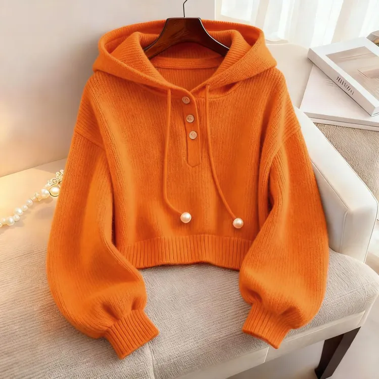 洋气韩系慵懒风抽绳连帽卫衣女2025新款秋季时尚小众针织打底上衣