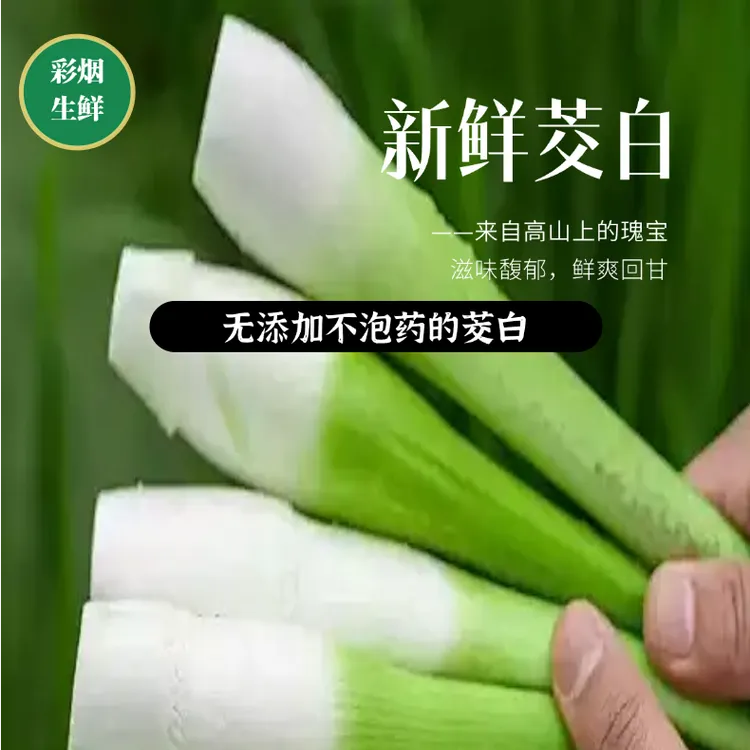 茭白茭瓜高笋水笋水八仙农家自种新鲜茭白现摘现发低卡营养蔬菜